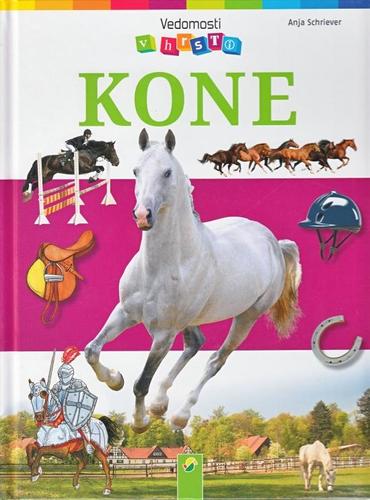 Obrázok Kone - Vedomosti v hrsti