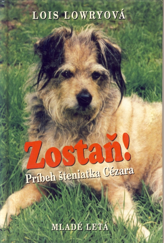 Obrázok Zostaň! Príbeh šteniatka Cézara