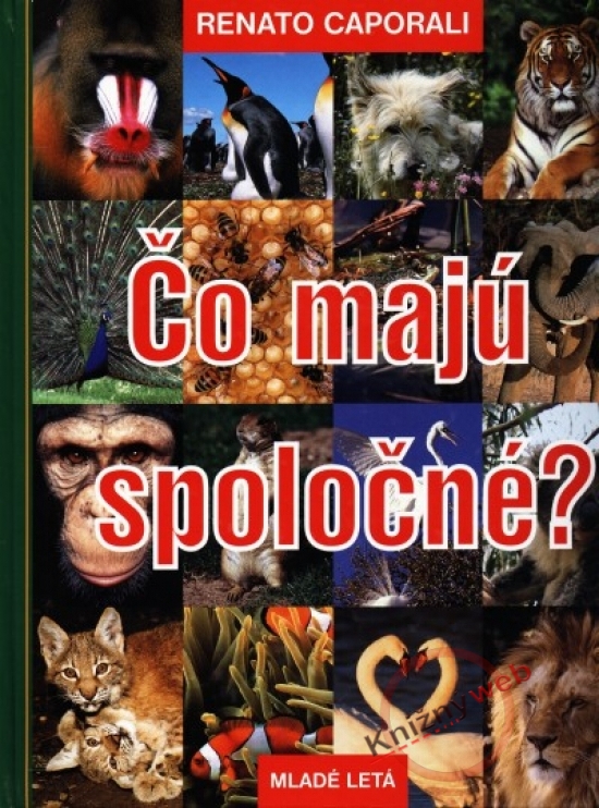 Obrázok Čo majú spoločné?