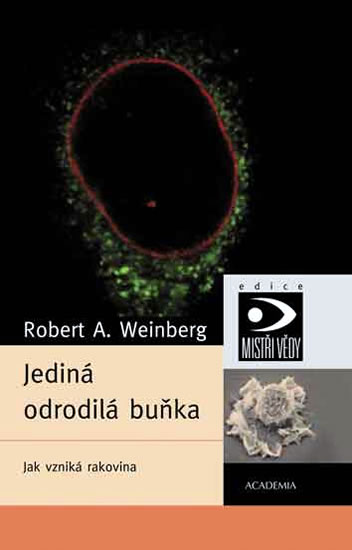 Obrazok Jediná odrodilá buňka