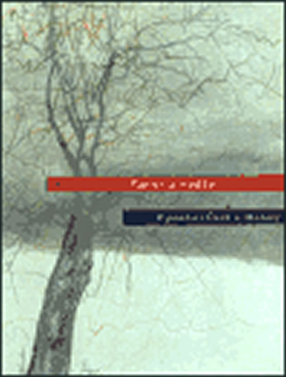 Obrázok Paměť a naděje: Z pověstí Čecha a Moravy