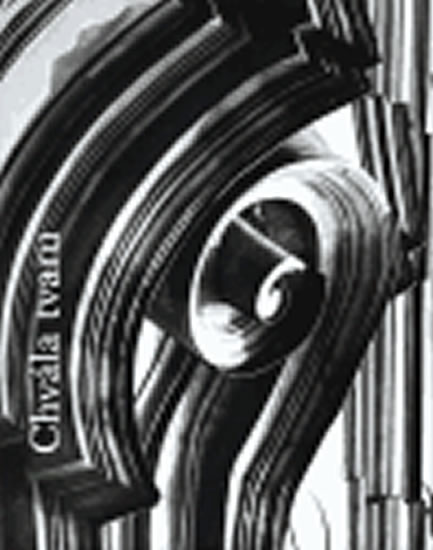 Obrázok Chvála tvaru - Fotografie Vladimíra Uhra