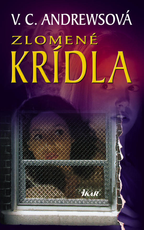 Obrázok Zlomené krídla