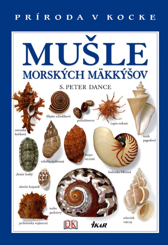 Obrázok Mušle morských mäkkýšov