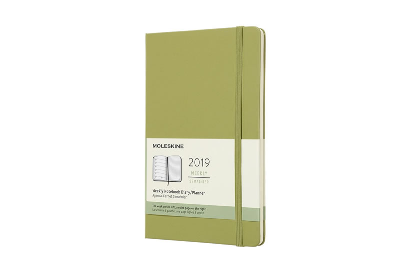 Obrázok Moleskine: Plánovací zápisník 2019 tvrdý světle zelený L