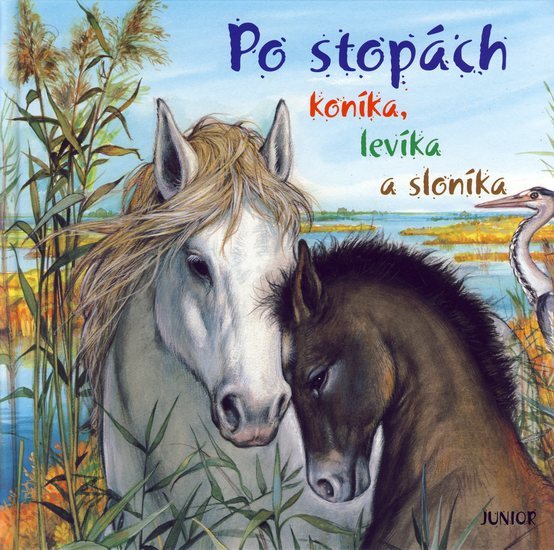 Obrázok Po stopách koníka, levíka a sloníka