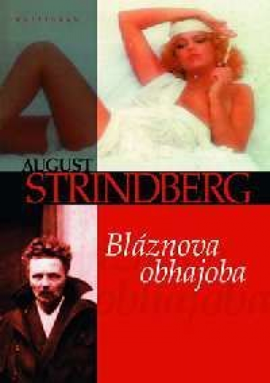 Obrázok Bláznova obhajoba