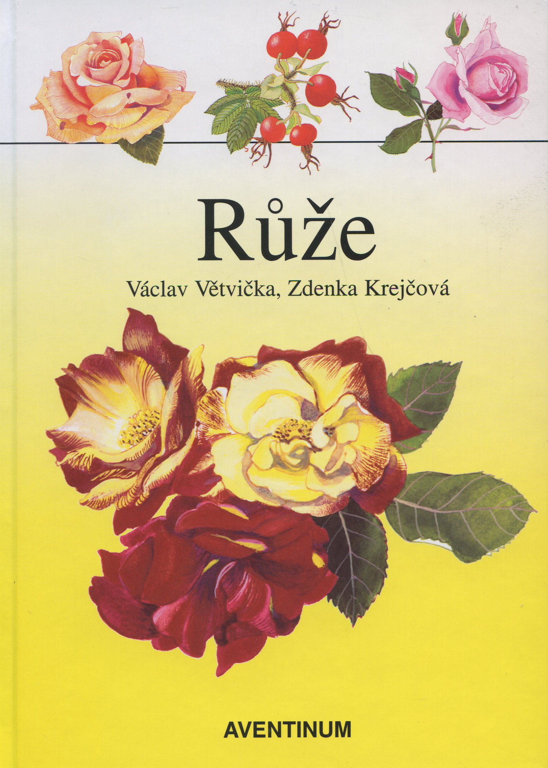 Obrazok Růže