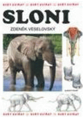 Obrazok Sloni