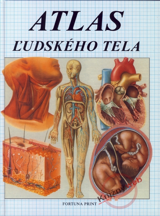 Obrázok Atlas ľudského tela