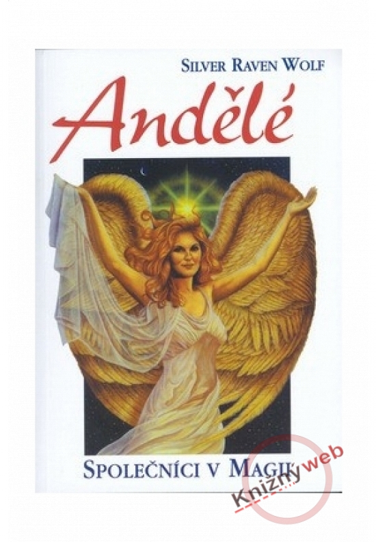 Obrázok Andělé - Společníci v magii