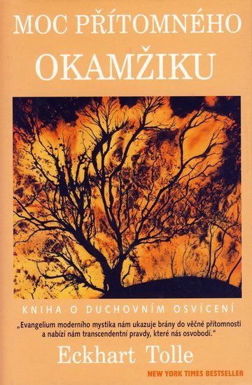 Obrázok Moc přítomného okamžiku