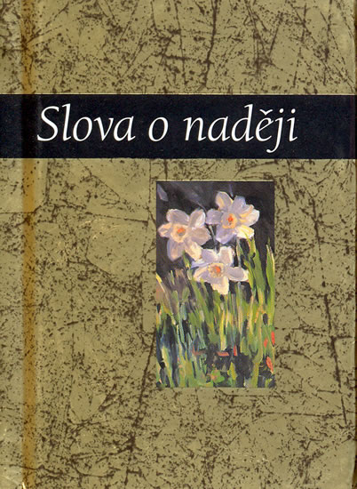 Obrázok Slova o naději