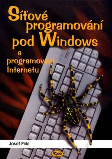 Obrázok Síťové programování pod Windows a progra