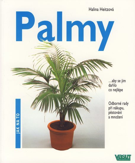 Obrázok Palmy - Jak na to