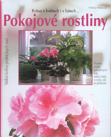 Obrázok Pokojové rostliny - Krása v květech i v listech...