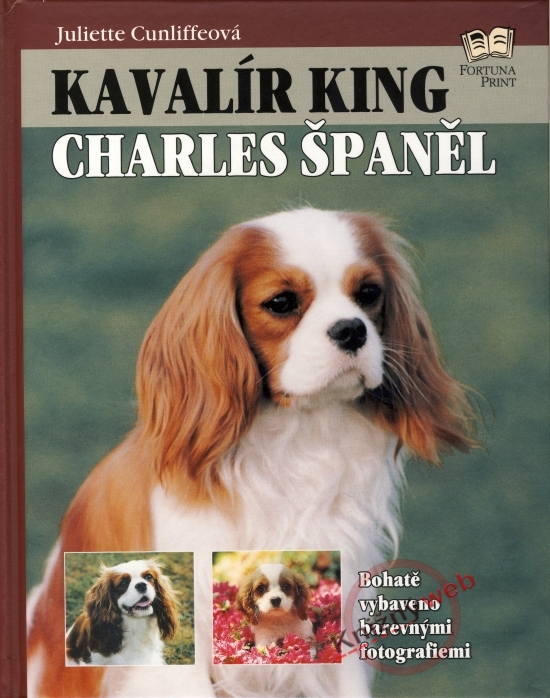Obrázok Kavalír king Charles španěl
