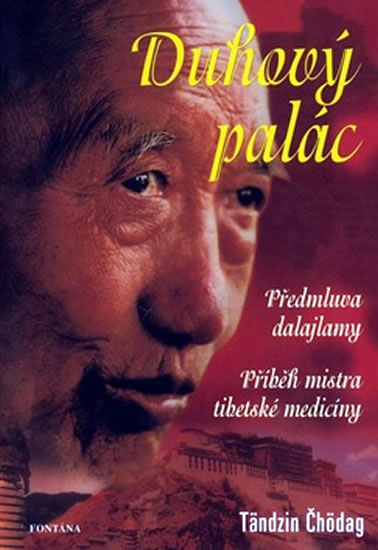 Obrázok Duhový palác - Příběh mistra tibetské me