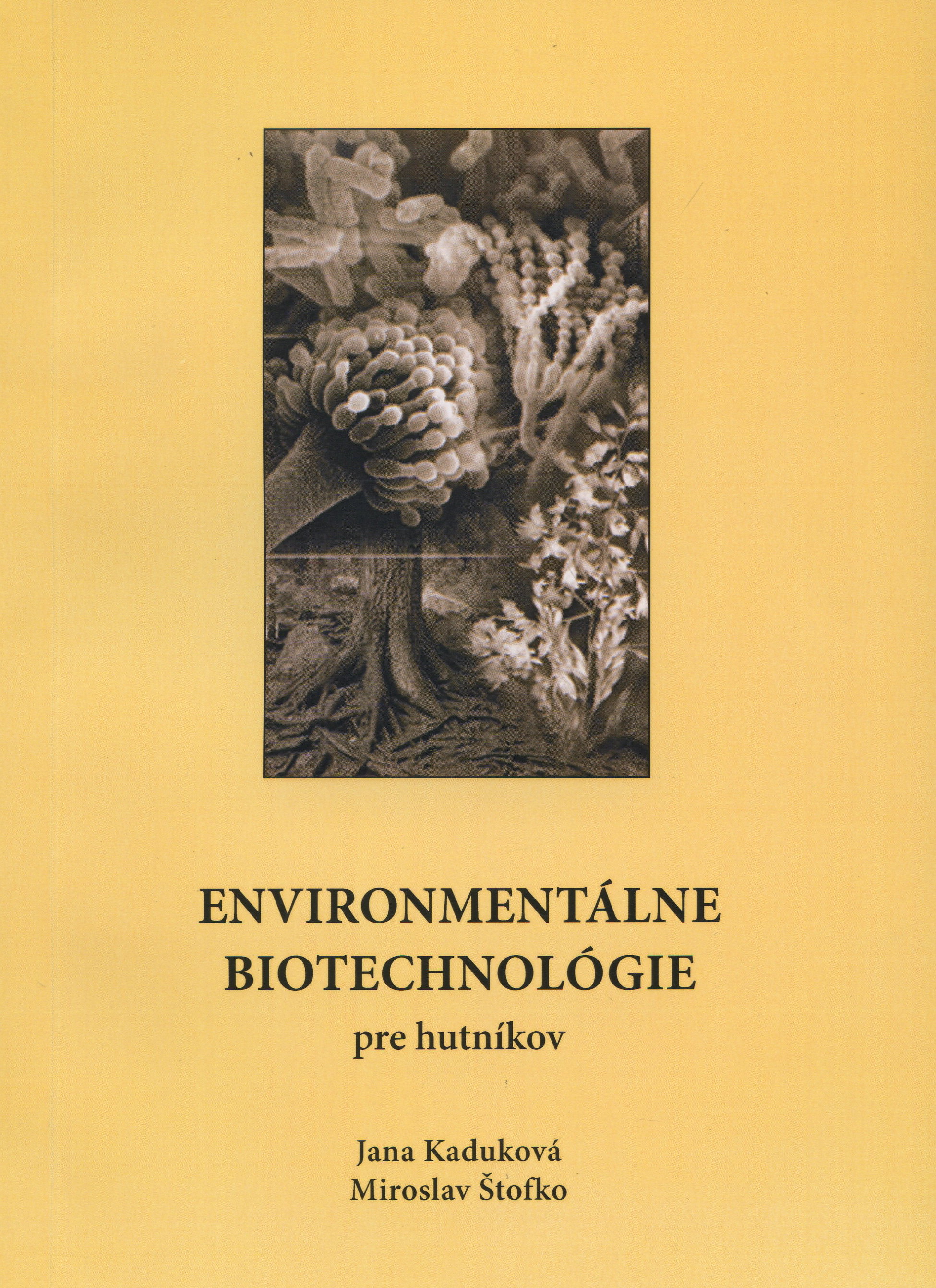 Obrazok Environmentálne biotechnológie pre hutníkov