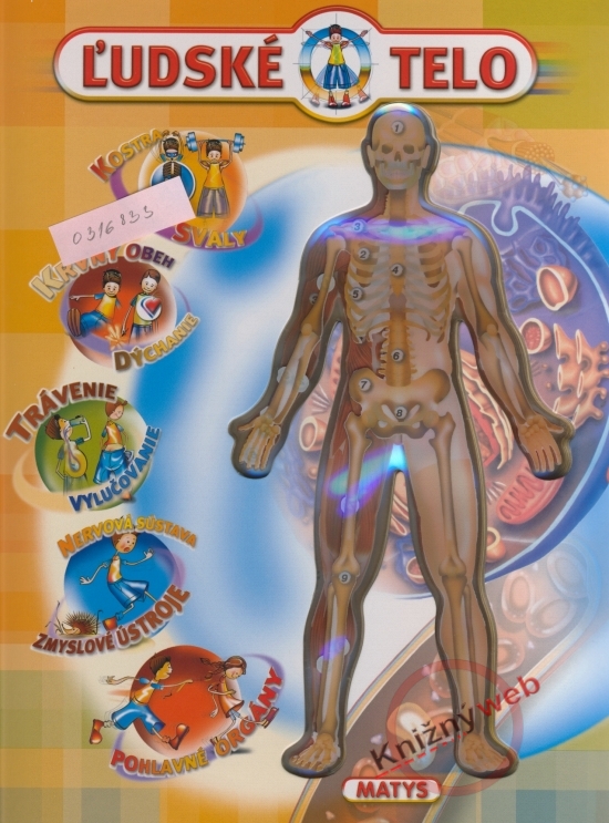 Obrázok Ľudské telo