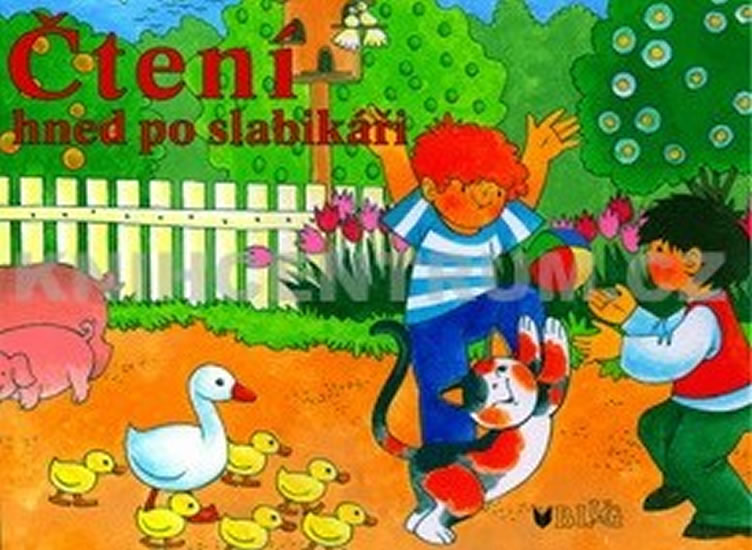 Obrázok Čtení hned po slabikáři