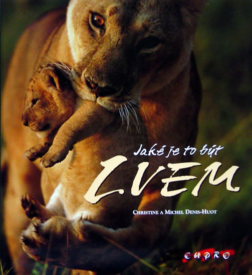 Obrázok Jaké je to být lvem