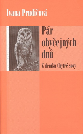 Obrázok Pár obyčejných dnů
