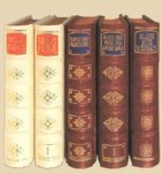 Obrázok Snár arabských mudrcov I.