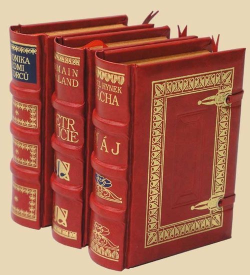 Obrázok Petr a Lucie (Nestor)