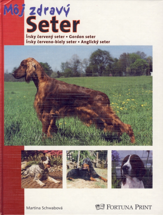 Obrázok Môj zdravý seter