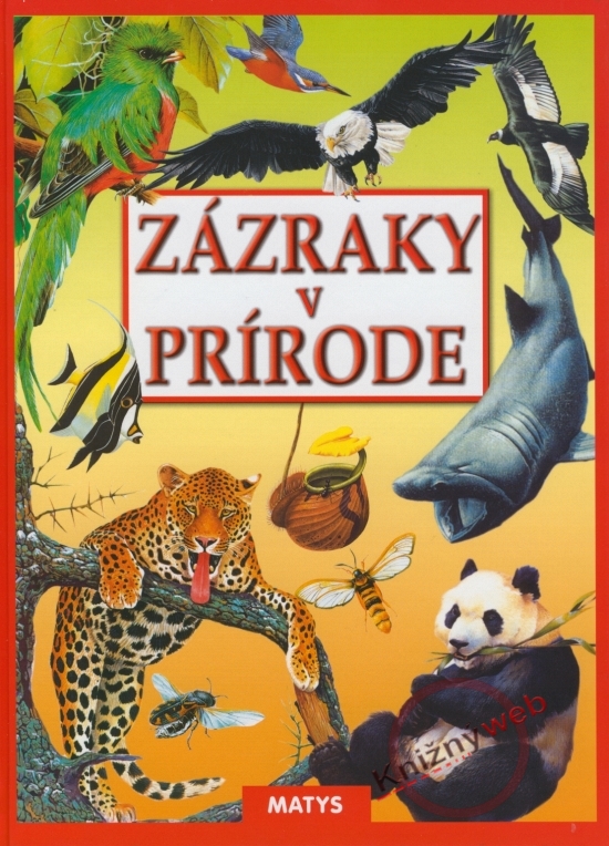 Obrázok Zázraky v prírode