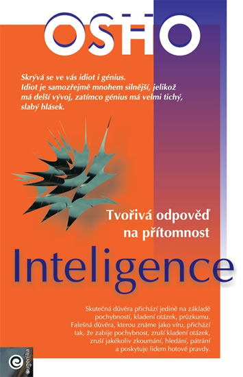 Obrázok Inteligence - Tvořivá odpověď na přítomn