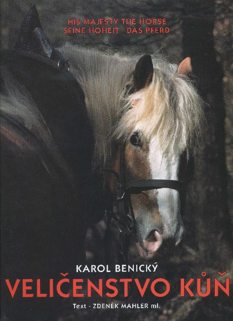 Obrazok Veličenstvo kůň