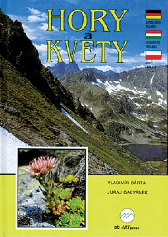 Obrázok Hory a kvety