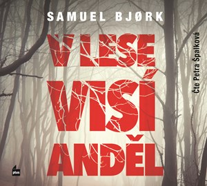Obrazok V lese visí anděl (audiokniha)