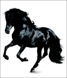 Obrázok Památníček – kůň