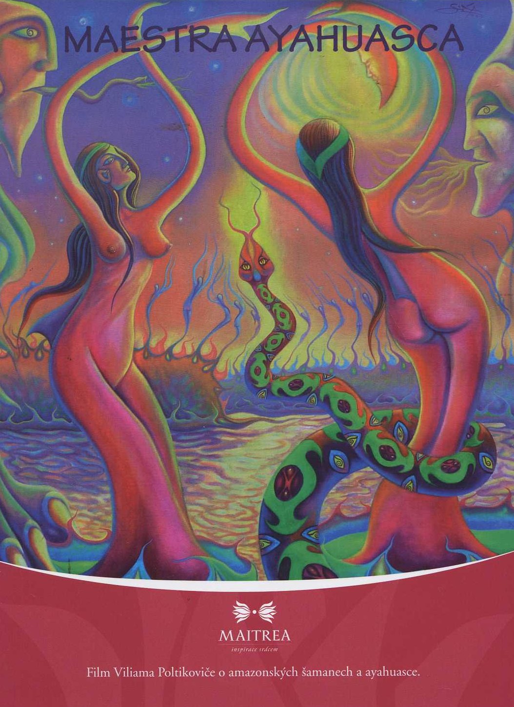 Obrazok Maestra ayahuasca