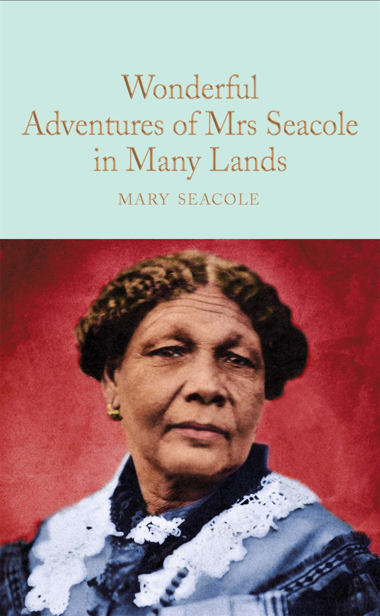 Obrázok The Wonderful Adventures Of Mrs Seacole In Many Lands