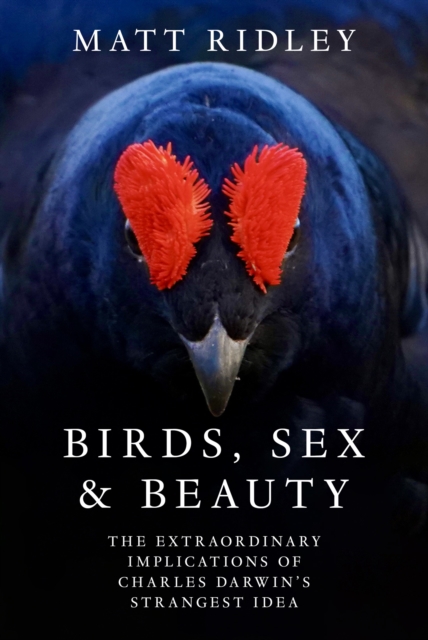 Obrázok Birds, Sex and Beauty