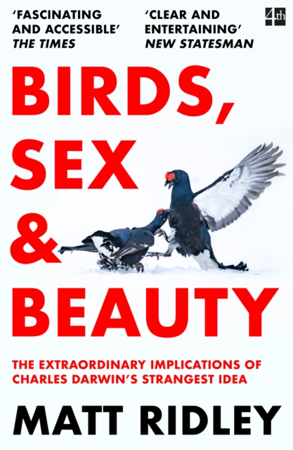 Obrazok Birds, Sex and Beauty