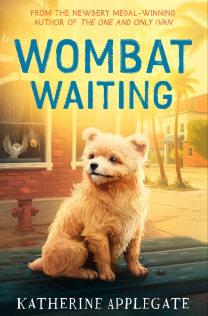 Obrazok Wombat Waiting