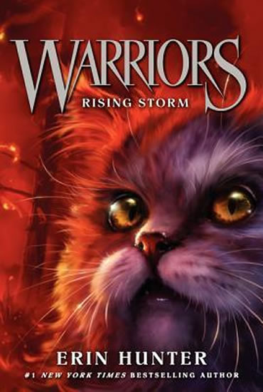 Obrázok Warriors 4 : Rising Storm