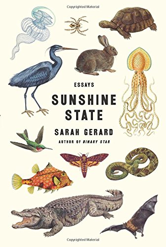 Obrázok Sunshine State: Essays