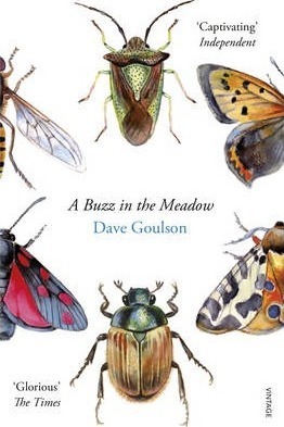 Obrázok A Buzz in the Meadow