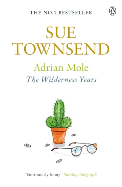 Obrázok Adrian Mole: Wilderness Years