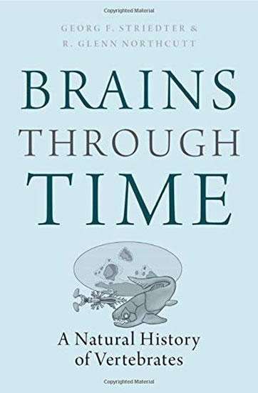 Obrázok Brains Through Time: A Natural History o