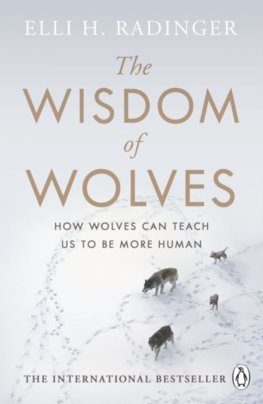 Obrázok The Wisdom of Wolves