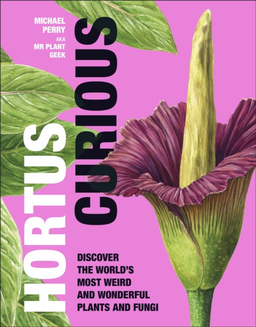 Obrázok Hortus Curious