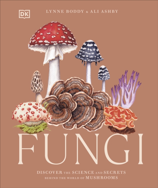 Obrázok Fungi