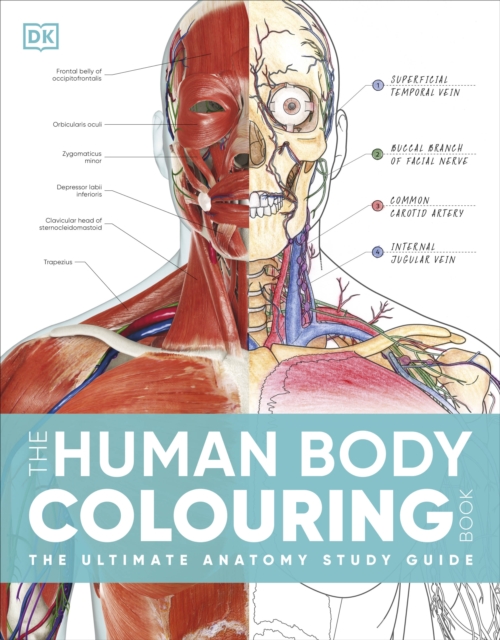 Obrázok The Human Body Colouring Book